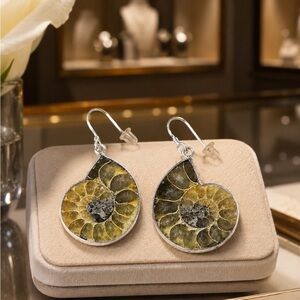 Artisan Ammonite Slice Drop Earrings Ancient beauty fossilized natural swirl